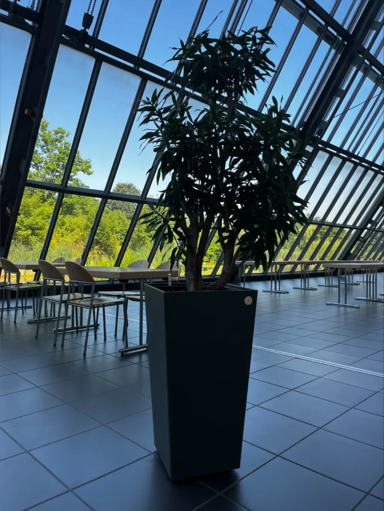 Hydropflanze in großzügigem Wartebereich mit Glasfront