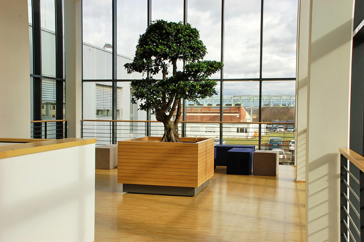 statkraft1n